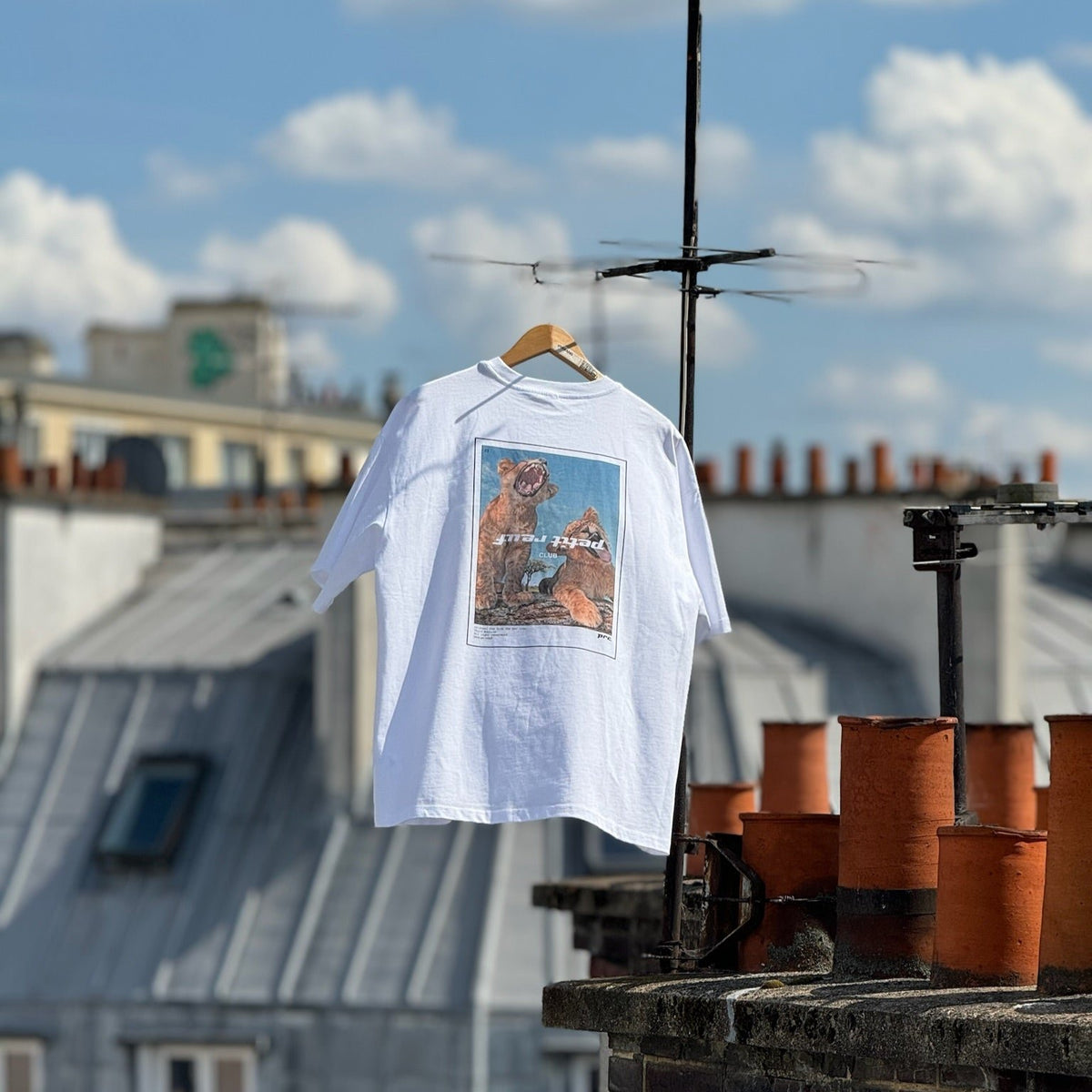 Lions White Tee