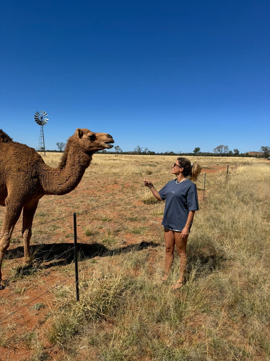 Célébrons la Journée Mondiale des Animaux