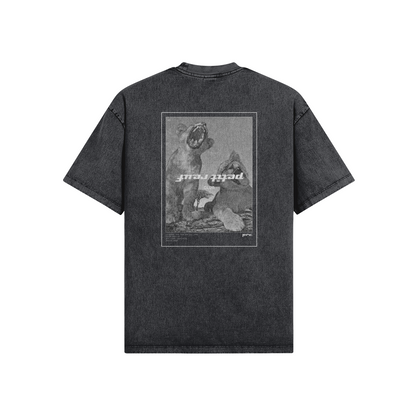 Lions Grey Tee